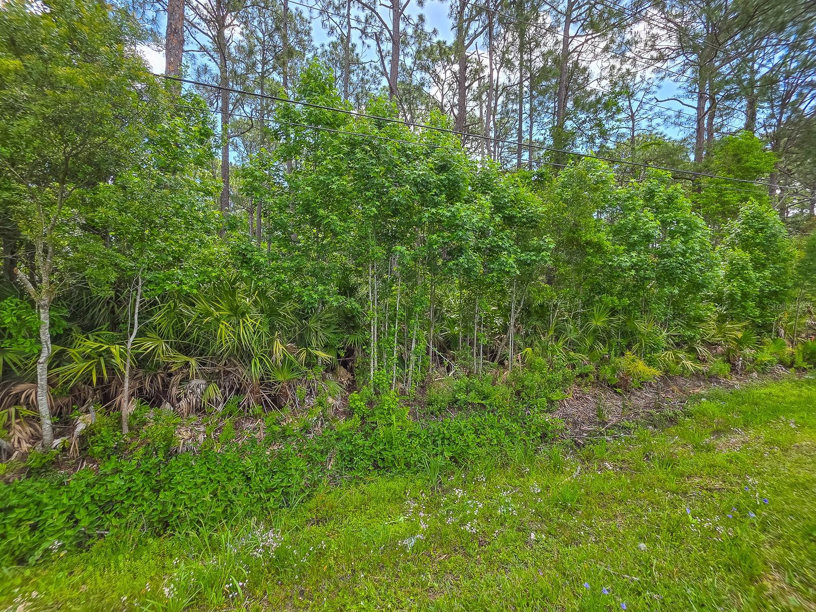 Image 4 of 11 For 9152 U S Highway 1