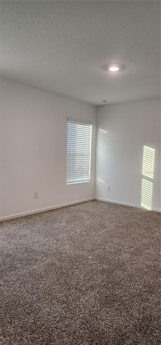Image 11 of 22 For 79 Pepperdine Dr
