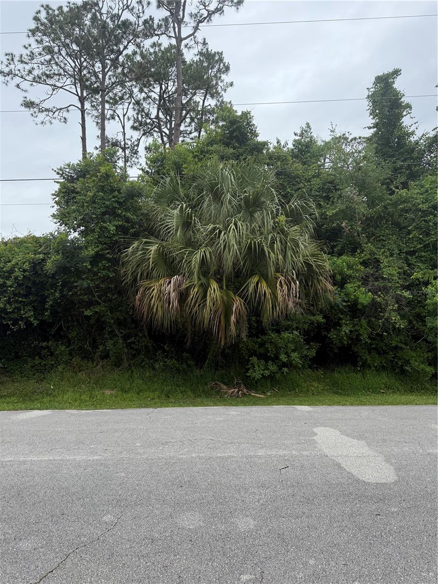 Details for 15 Pepper Lane, PALM COAST, FL 32164