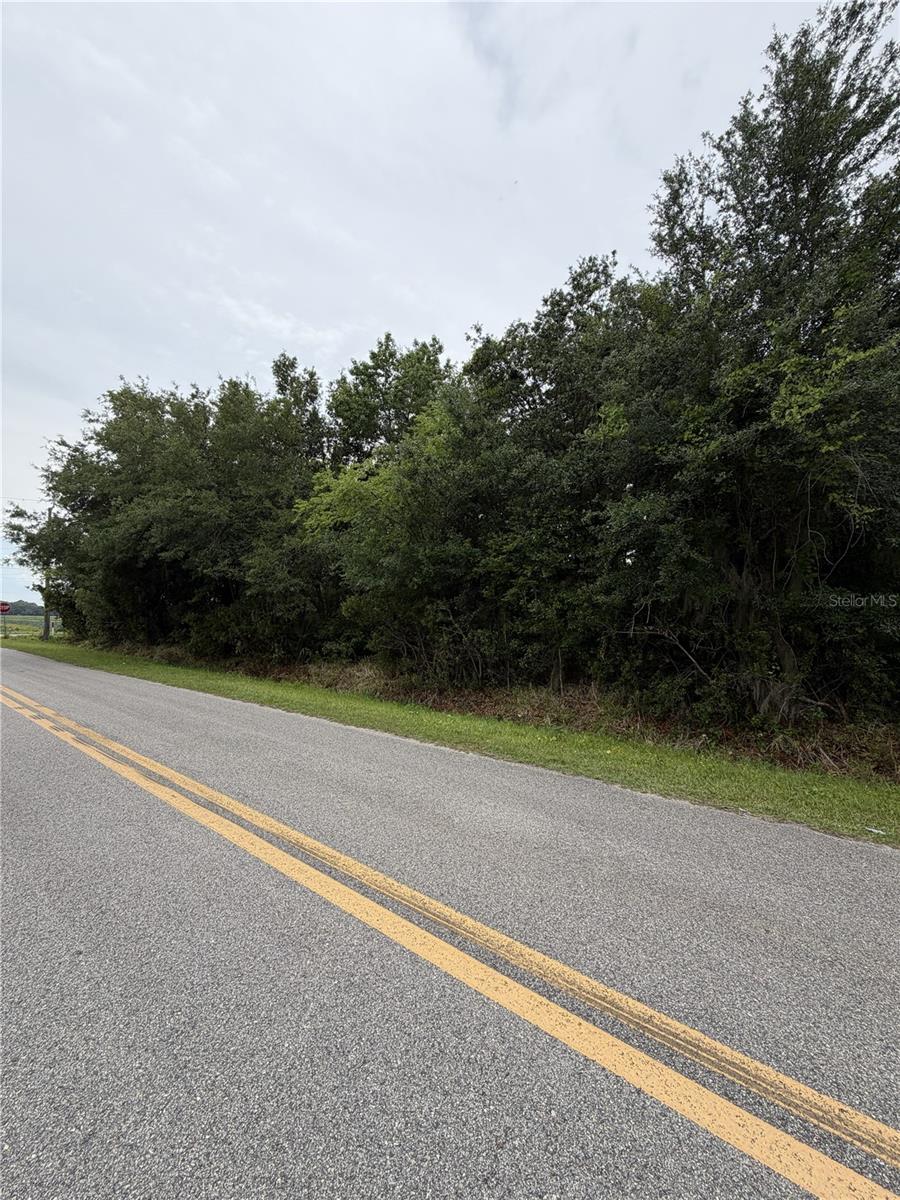 Image 2 of 14 For 158 Cracker Swamp Road