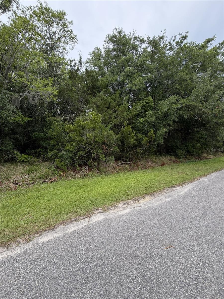 Image 3 of 14 For 158 Cracker Swamp Road