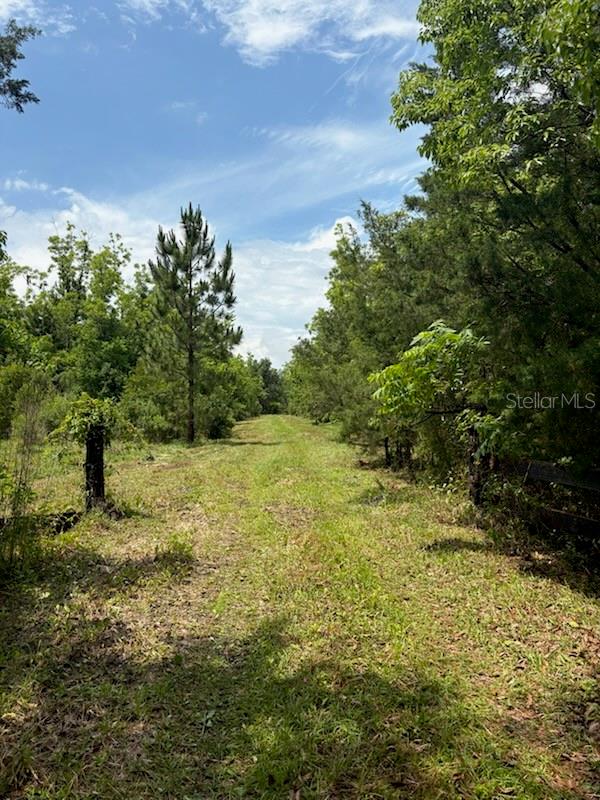 Details for 459 County Road 2006 E, BUNNELL, FL 32110