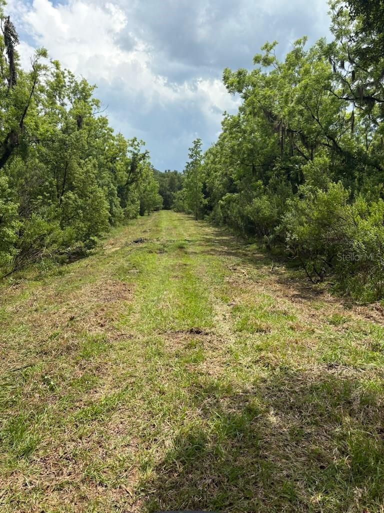 Image 2 of 4 For 459 County Road 2006 E