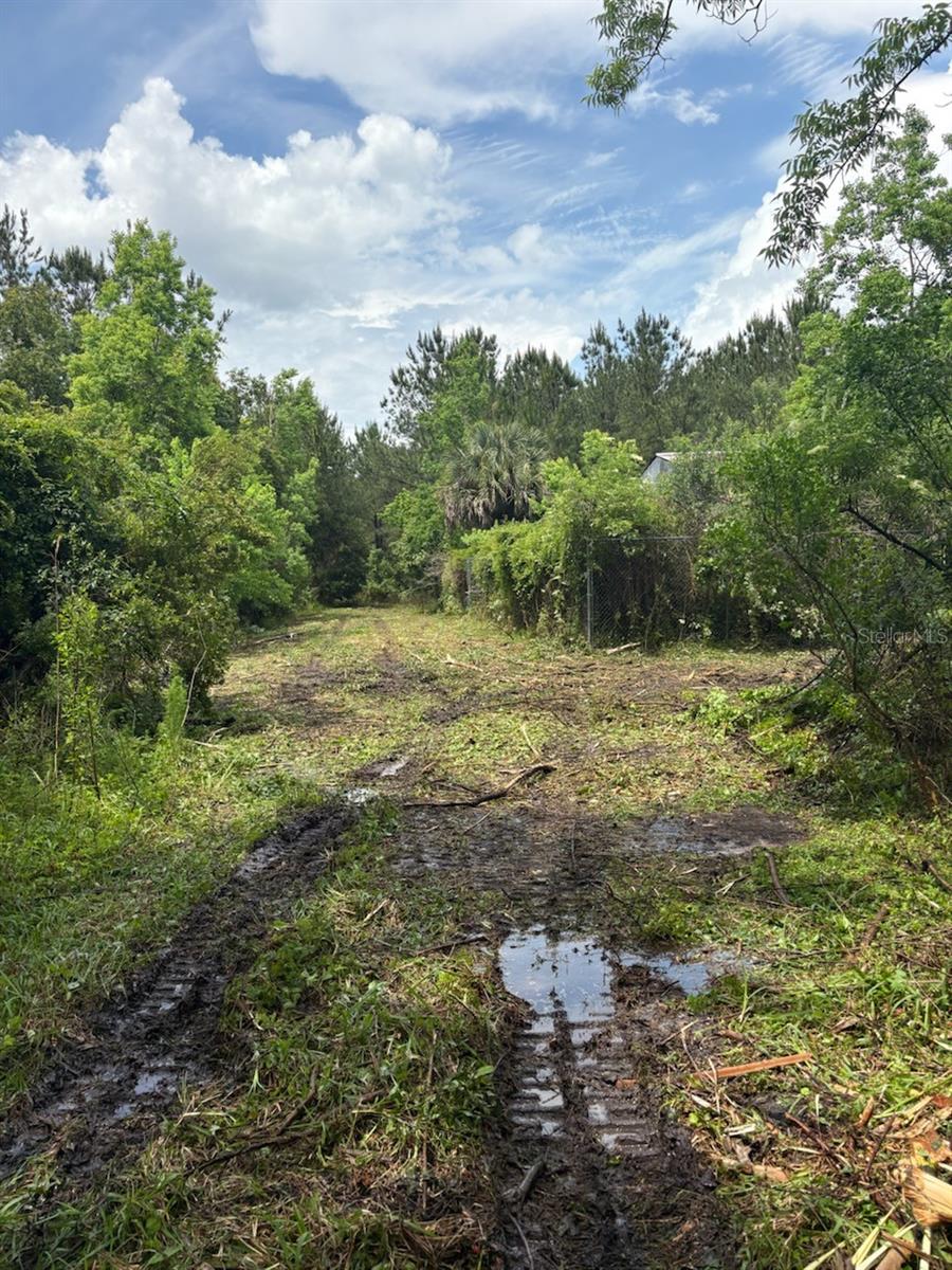 Image 3 of 4 For 459 County Road 2006 E