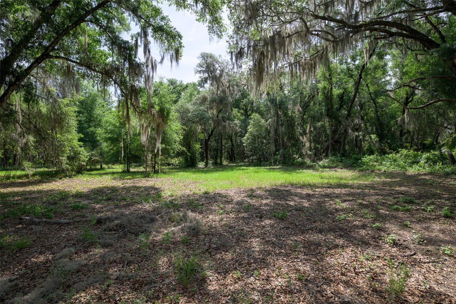 Image 23 of 40 For 374 Sisco Road