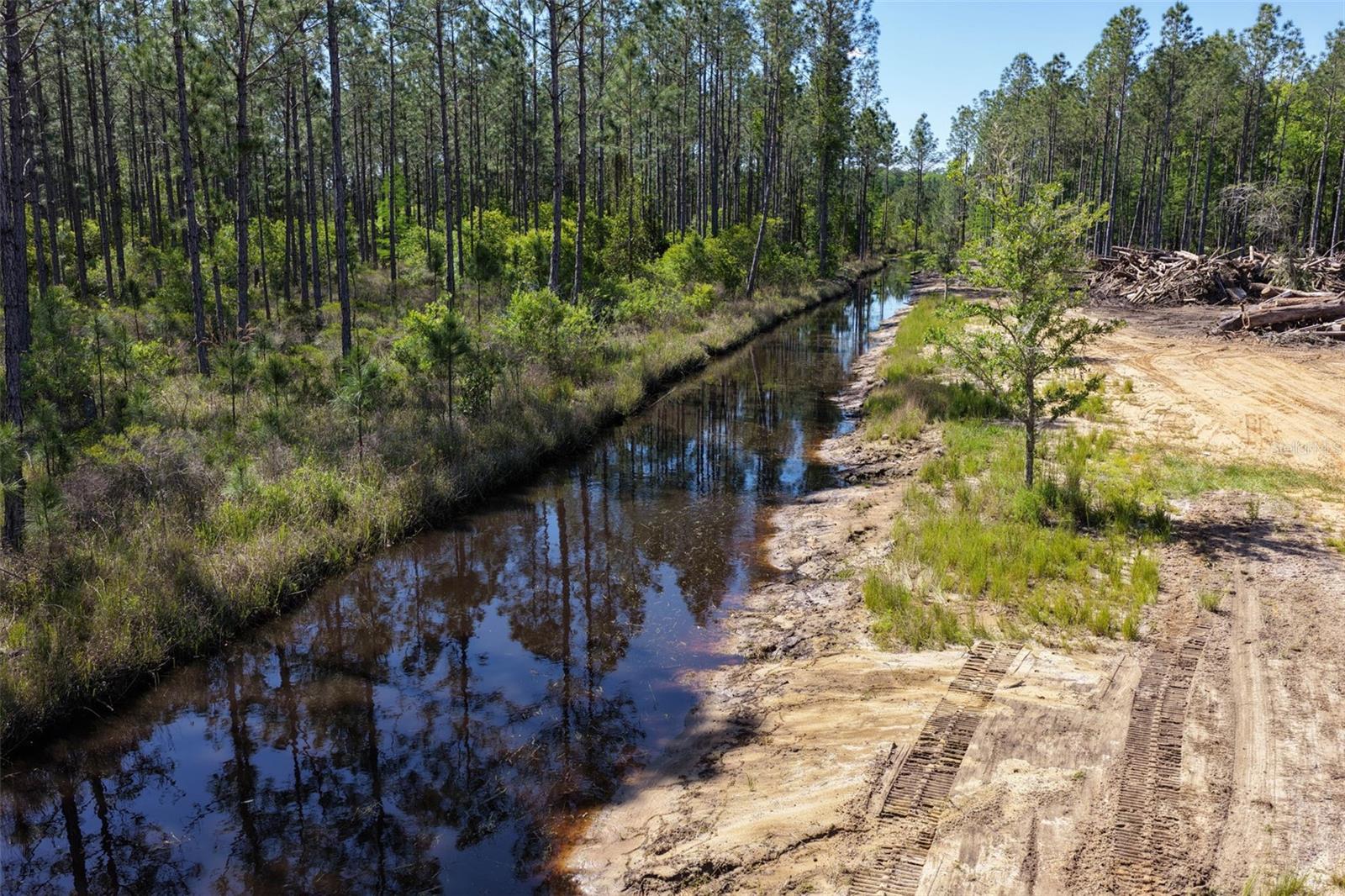 Image 16 of 32 For 15539 County Rd 305