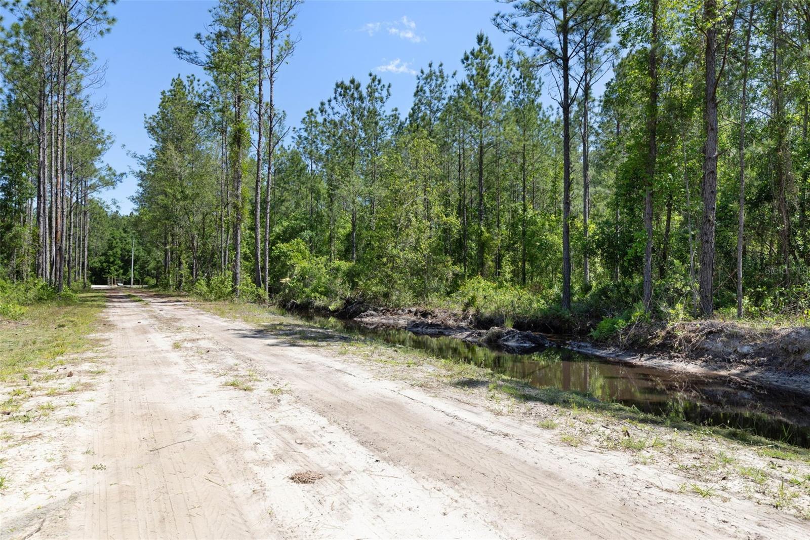 Image 3 of 32 For 15539 County Rd 305