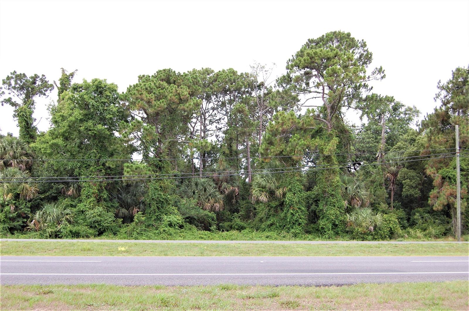 Details for 0 Us Highway 1, OAK HILL, FL 32759