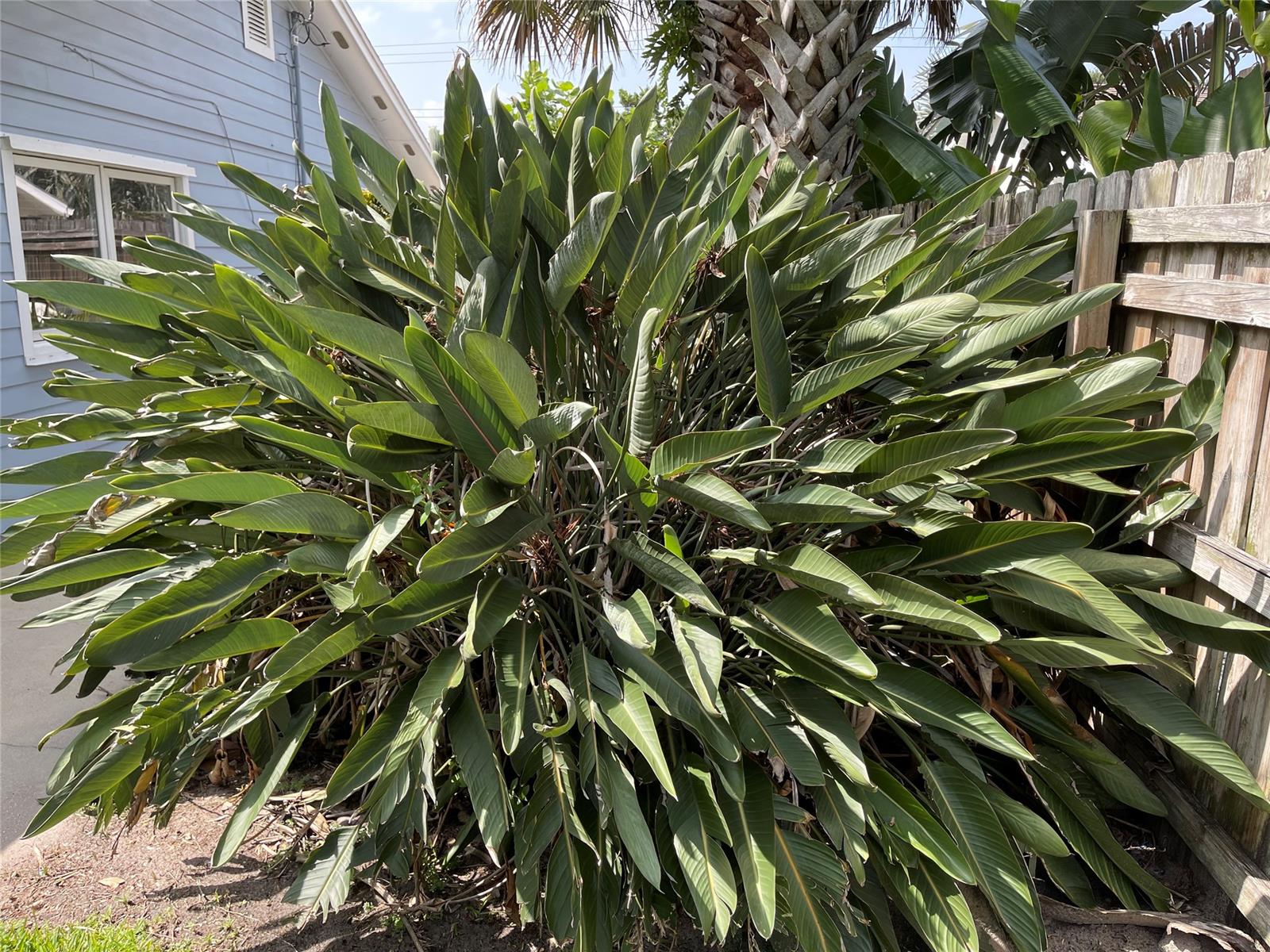 Image 10 of 16 For 4513 Saxon Drive