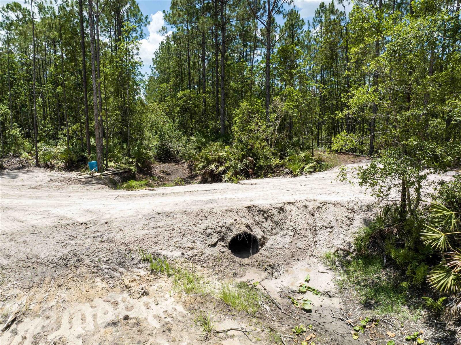 Image 4 of 15 For  Cedar Road 