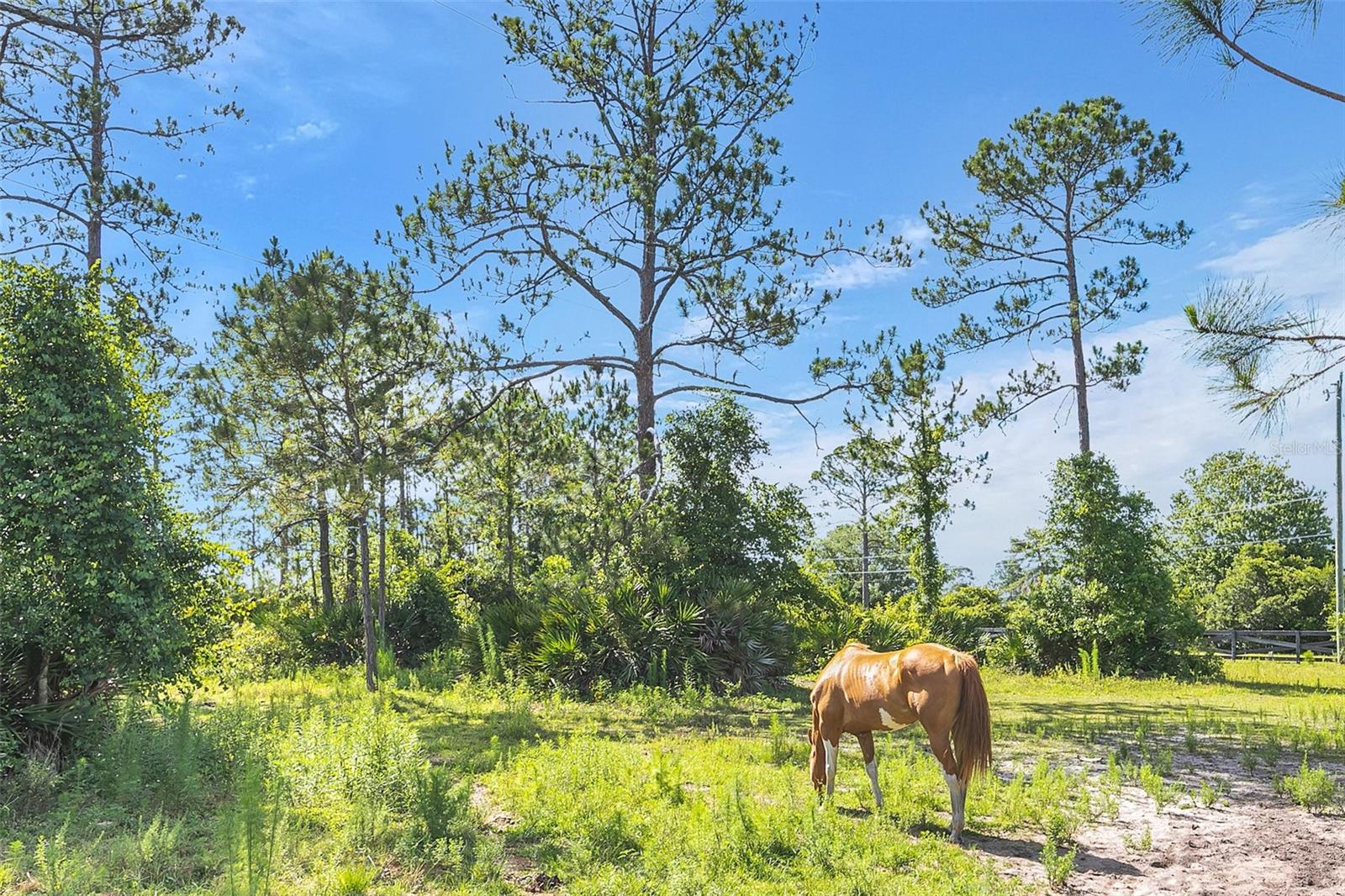 Image 47 of 67 For 4175 Saddle Club Drive