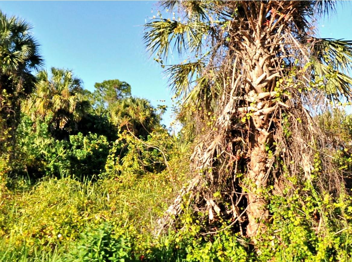 Listing Details for Snover Avenue, NORTH PORT, FL 34286