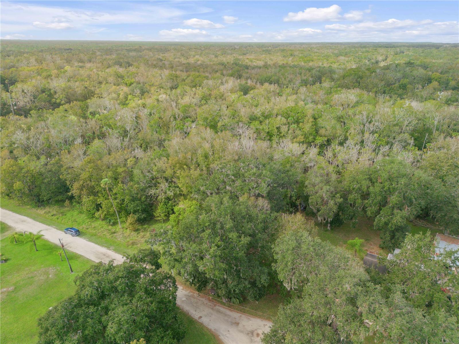 Image 6 of 12 For 3095 Log Cabin Lane