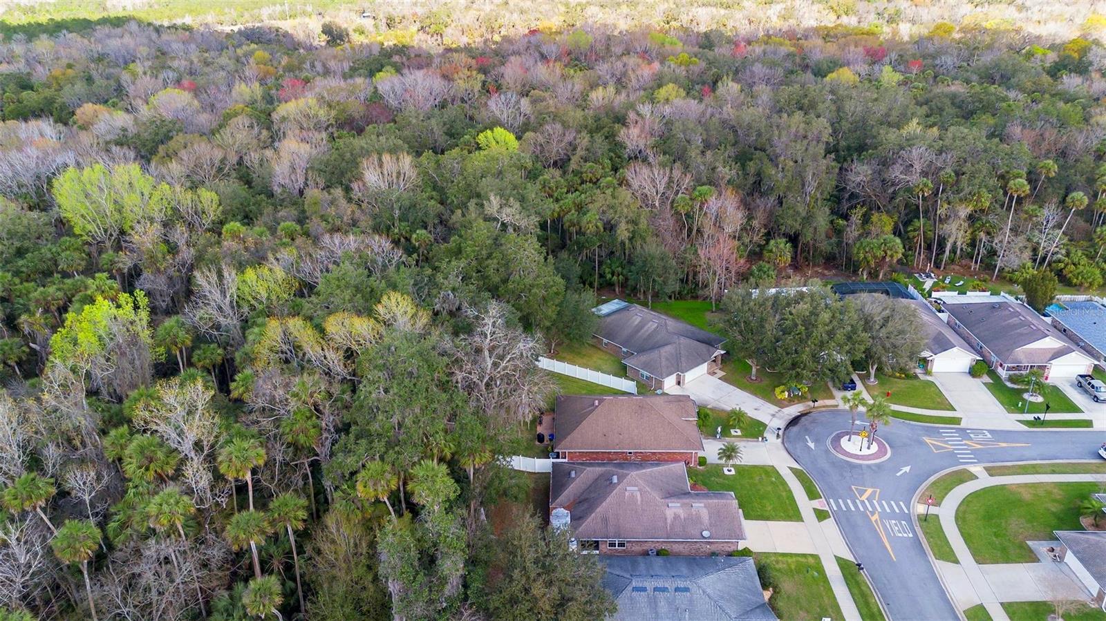 Image 7 of 43 For 634 Coral Trace Boulevard