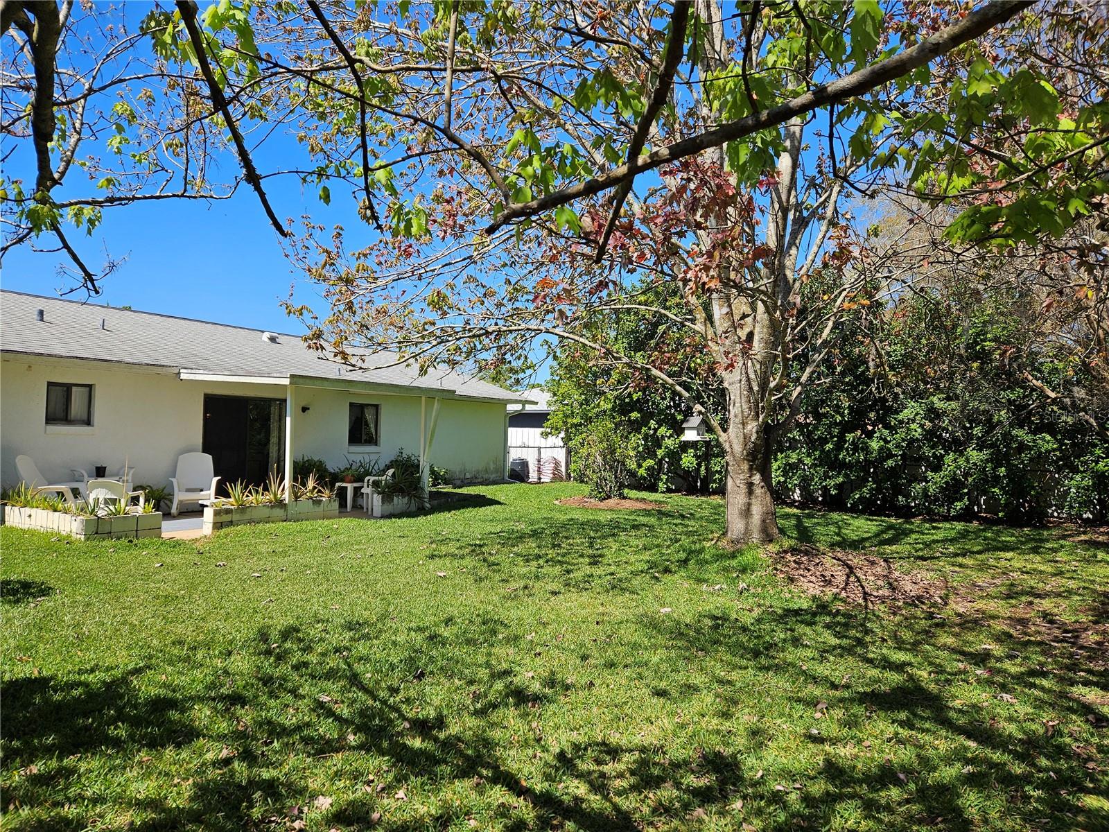 Image 25 of 39 For 2321 Tamarind Drive