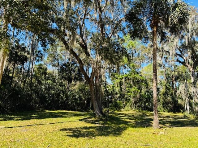 Details for Elizabeth Street, NEW SMYRNA BEACH, FL 32168