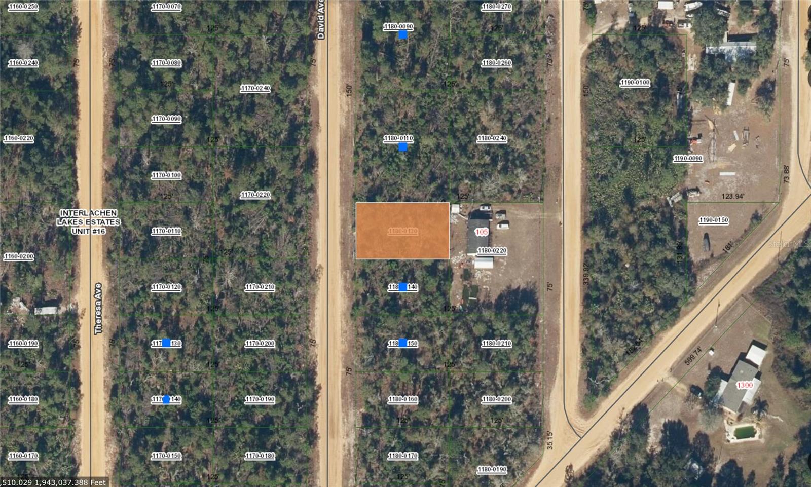 Listing Details for  David  , INTERLACHEN, FL 32148