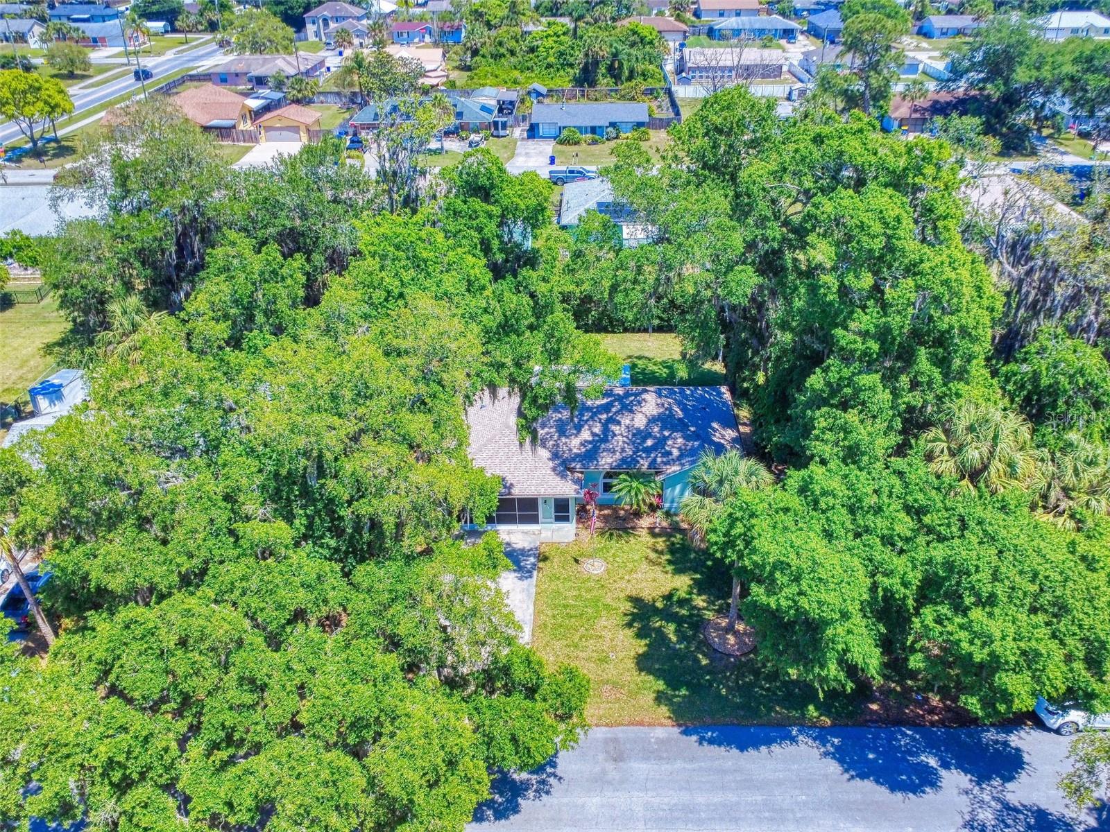Image 5 of 71 For 3013 Lime Tree Drive