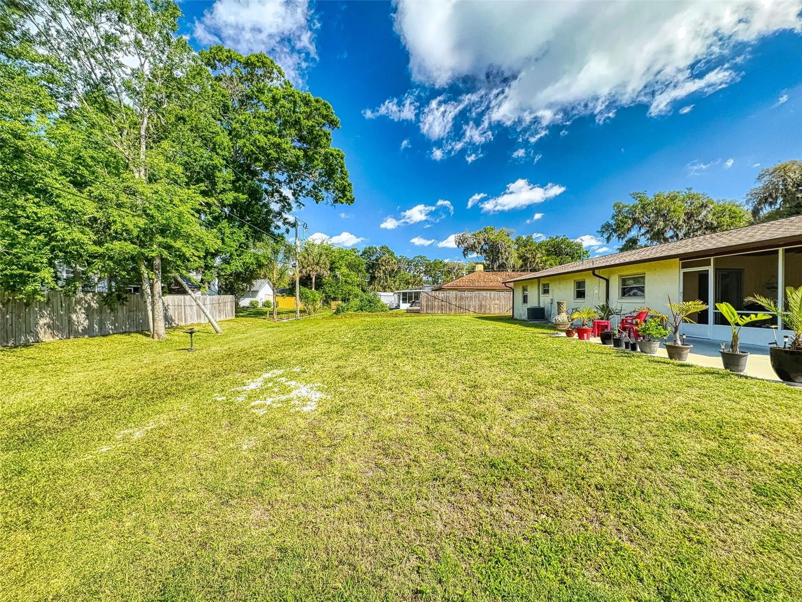 Image 6 of 75 For 2218 Orange Tree Drive