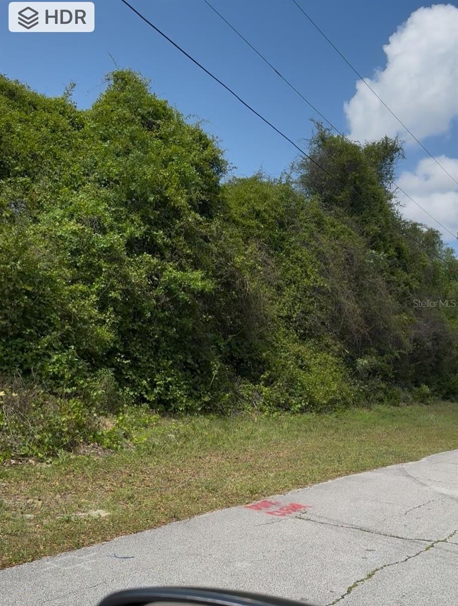 Listing Details for 120 Claymore Street, DELTONA, FL 32725