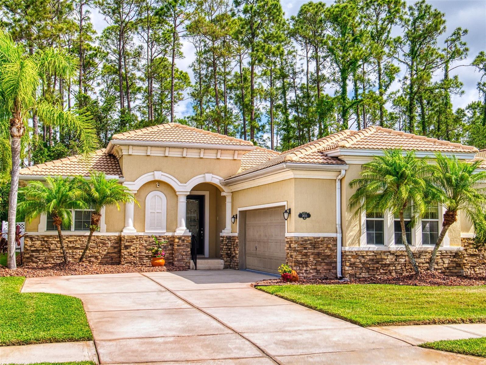 Image 2 of 53 For 3455 Pegaso Avenue