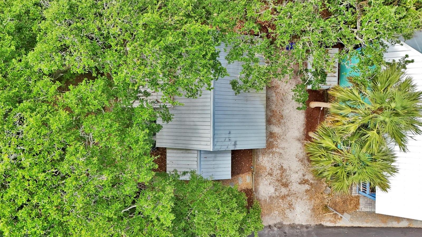Image 12 of 44 For 209 Esther Street