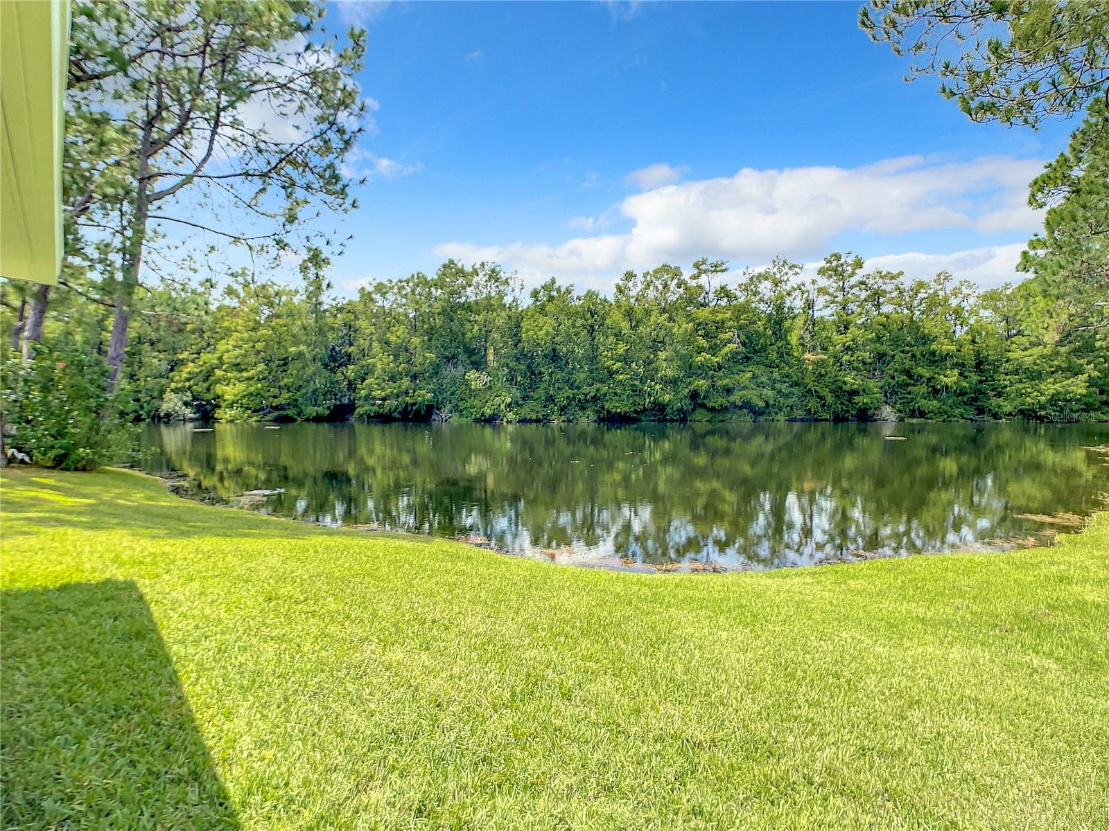 Image 32 of 36 For 116 Duck Hawk Circle 3040