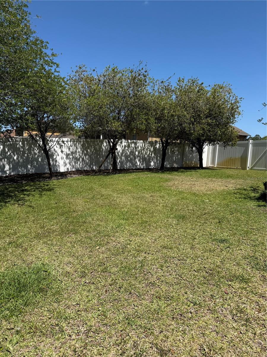 Image 2 of 19 For 115 Los Arbor Drive