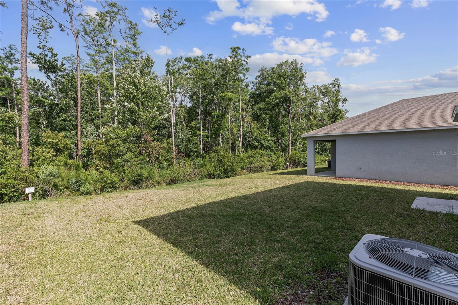 Image 4 of 28 For 326 Caryota Court