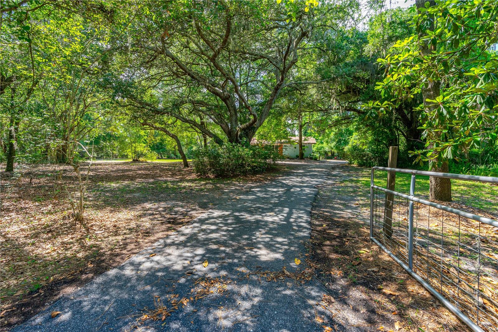 Image 33 of 52 For 1786 Taylor Road