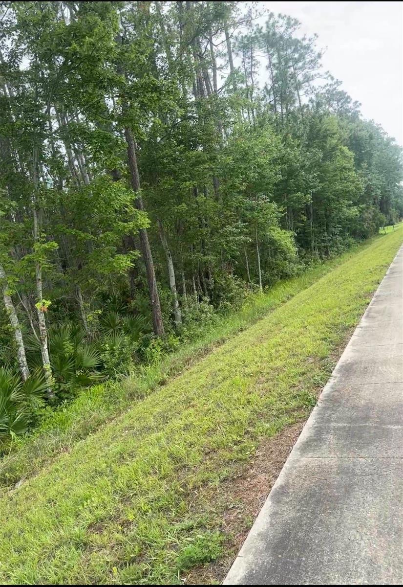 Image 2 of 2 For 3248 State Road 207