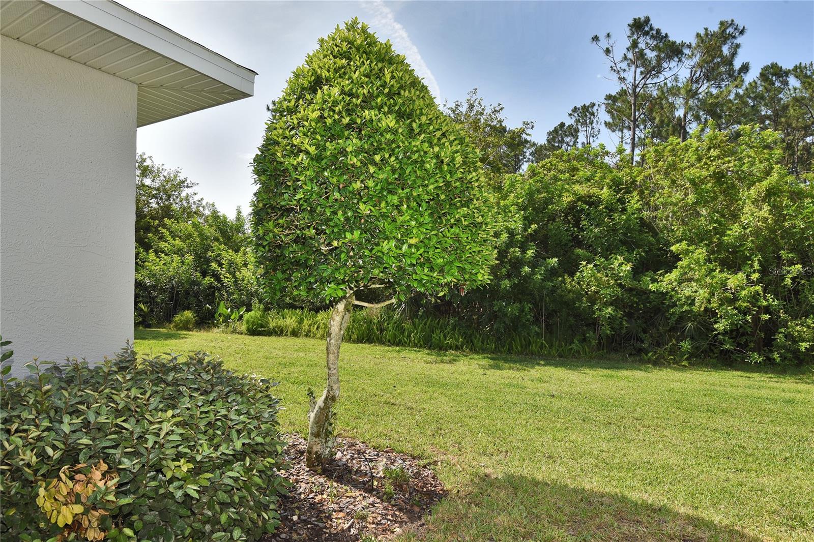 Image 45 of 55 For 1442 Carlow Circle