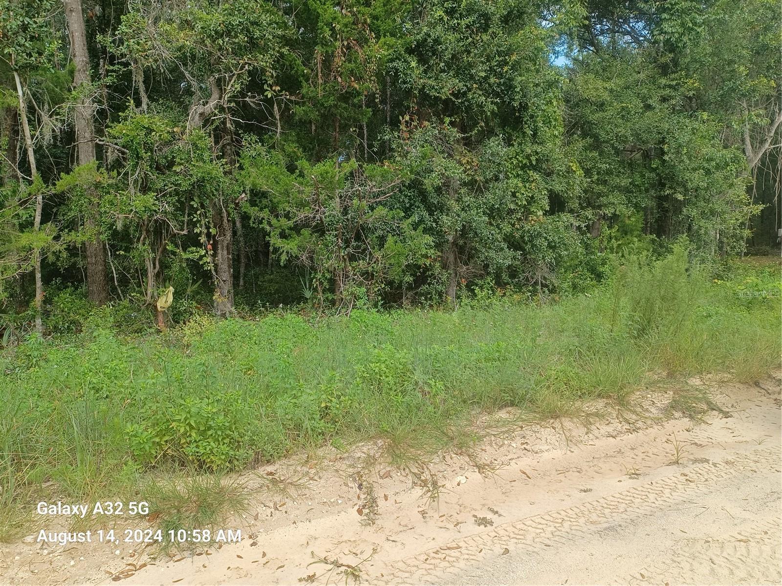 Details for 108 Rabbit Track Road, SATSUMA, FL 32189