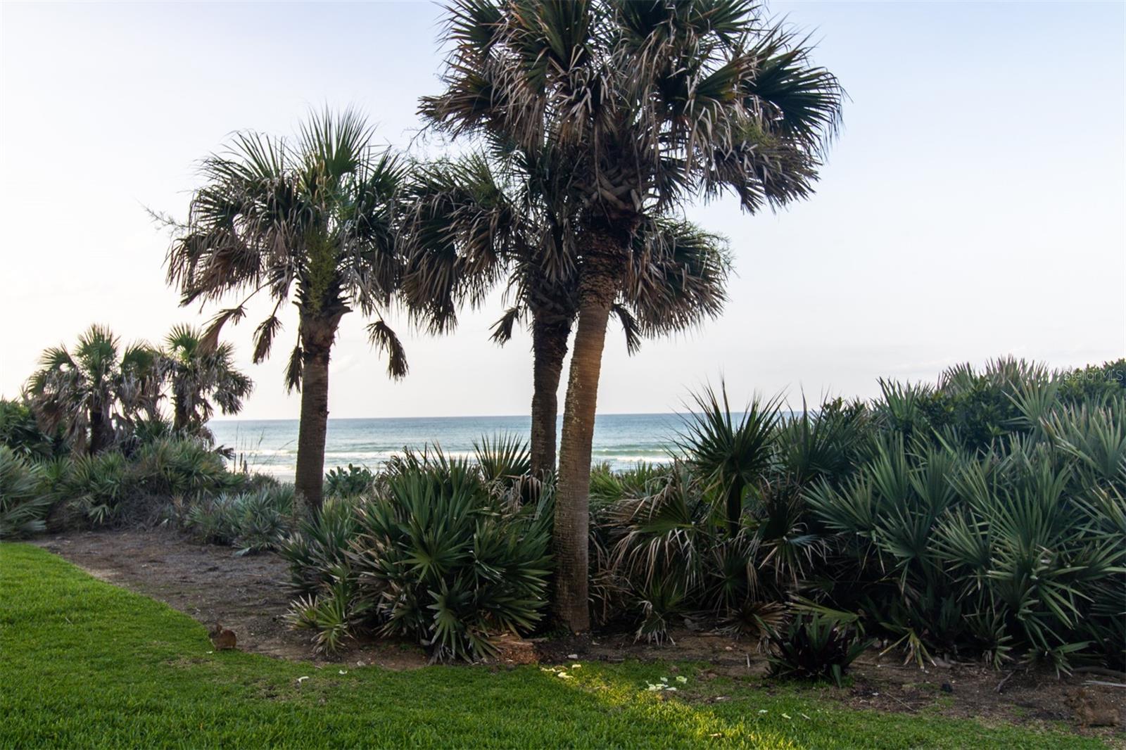 Image 23 of 43 For 5301 Atlantic Avenue 140