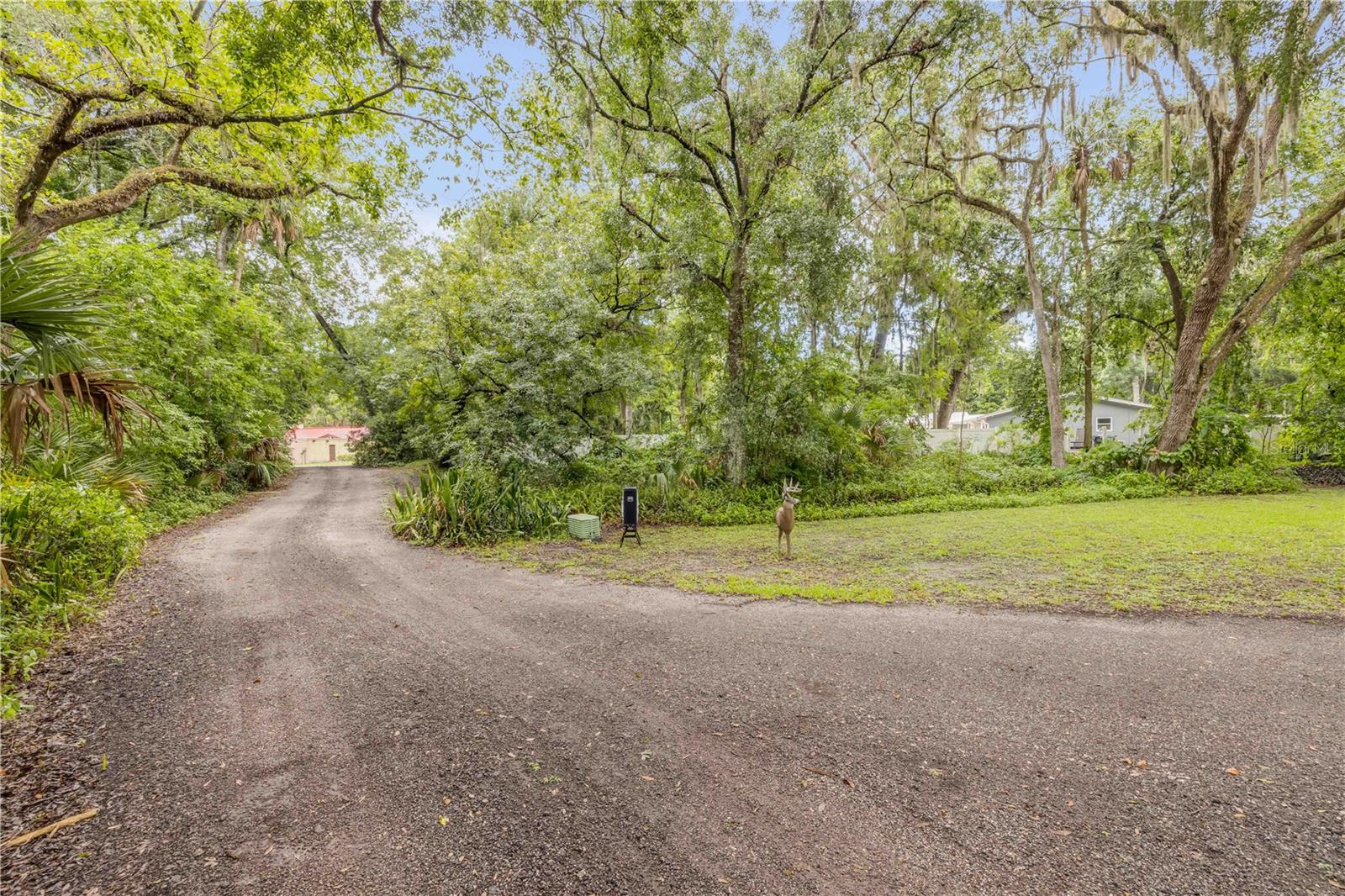 Image 50 of 56 For 2965 Knox Mcrae Dr
