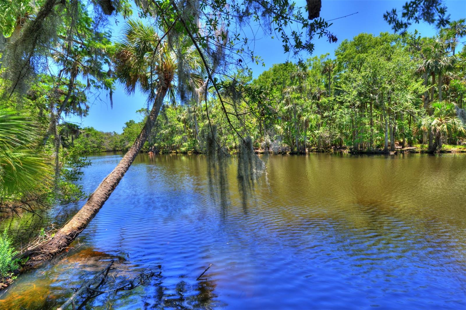 Image 36 of 43 For 3288 Spruce Creek Glen