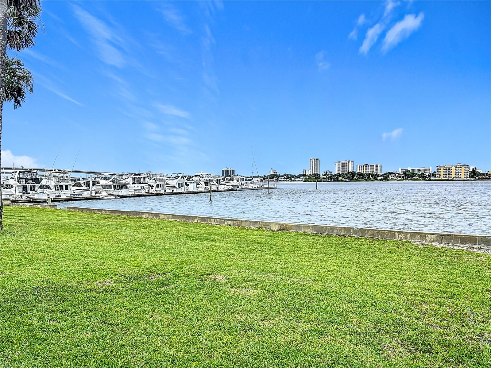 Image 49 of 57 For 255 Lexington Drive