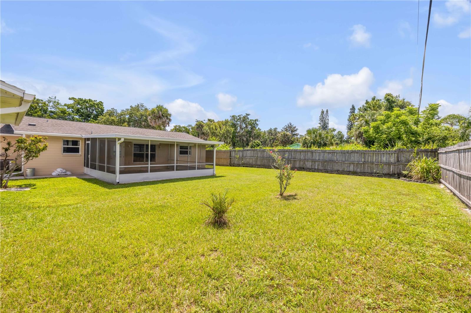 Image 44 of 50 For 2416 Pine Tree Drive