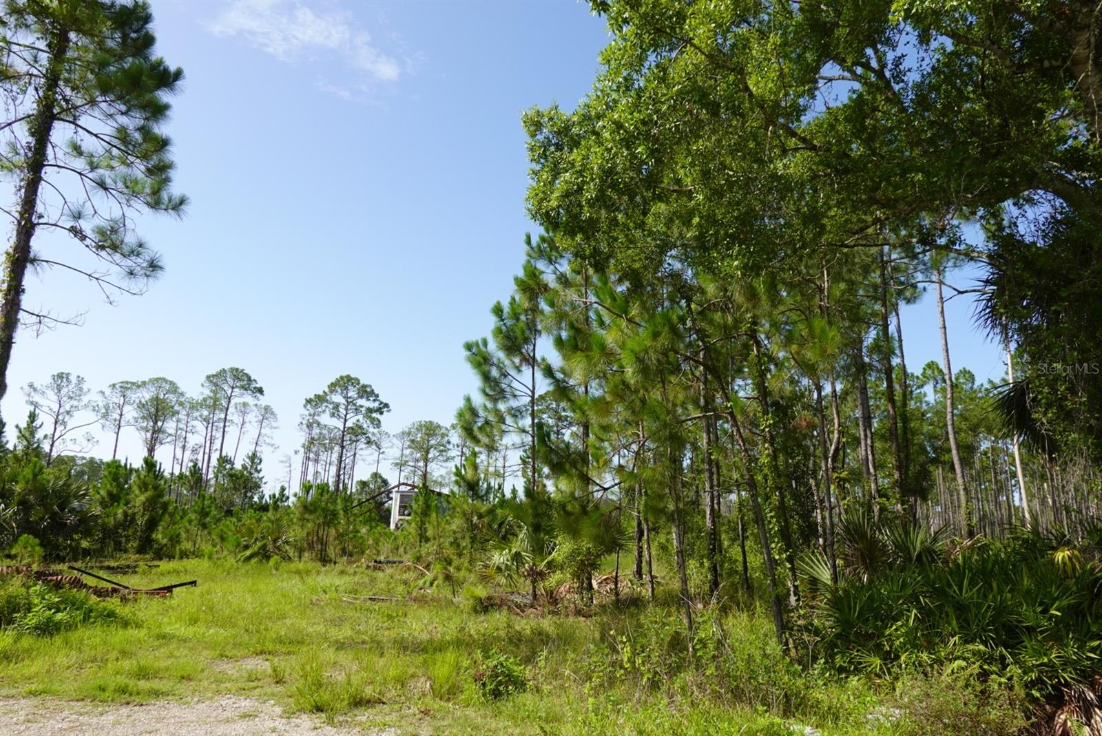 Listing Details for 3738 Honeydew Lane, NEW SMYRNA BEACH, FL 32168