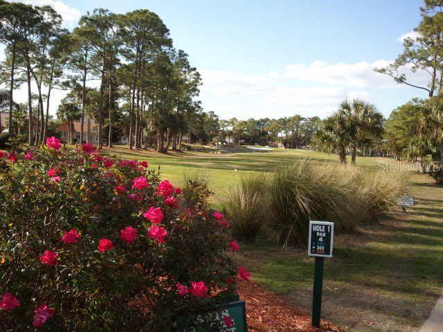 Image 45 of 49 For 45 Sandra Circle