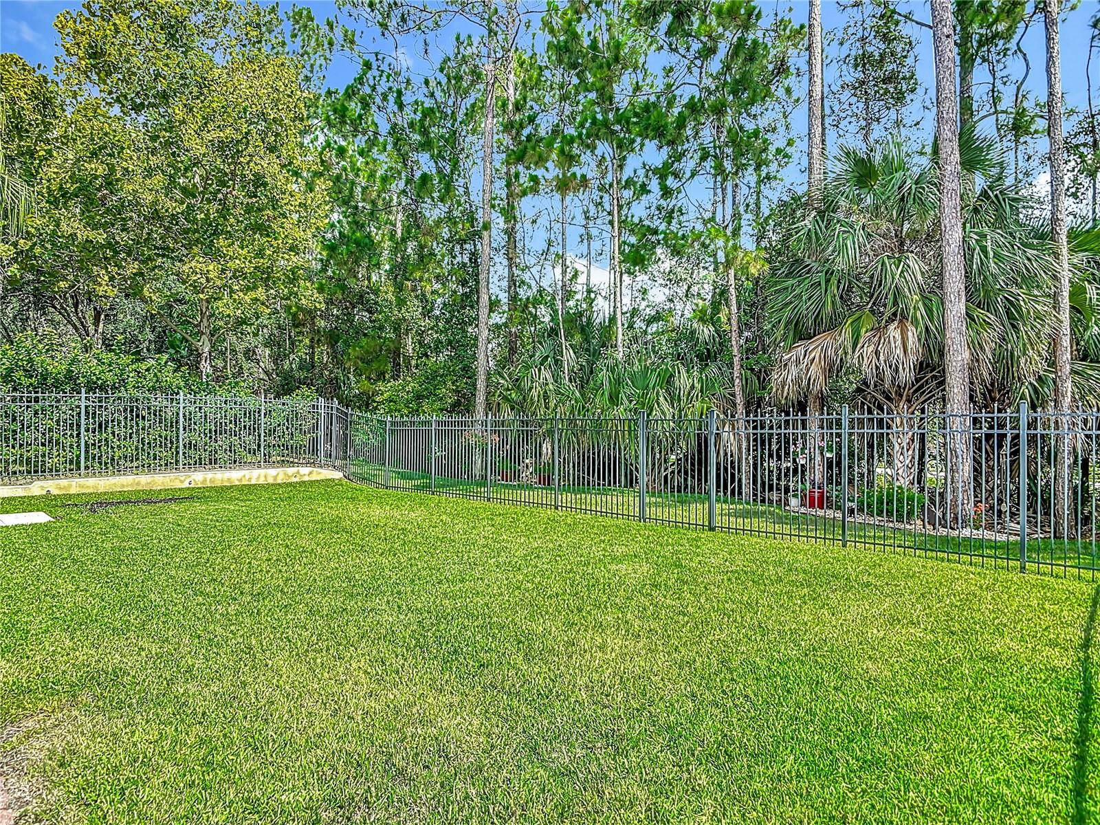 Image 41 of 47 For 3361 Pegaso Avenue