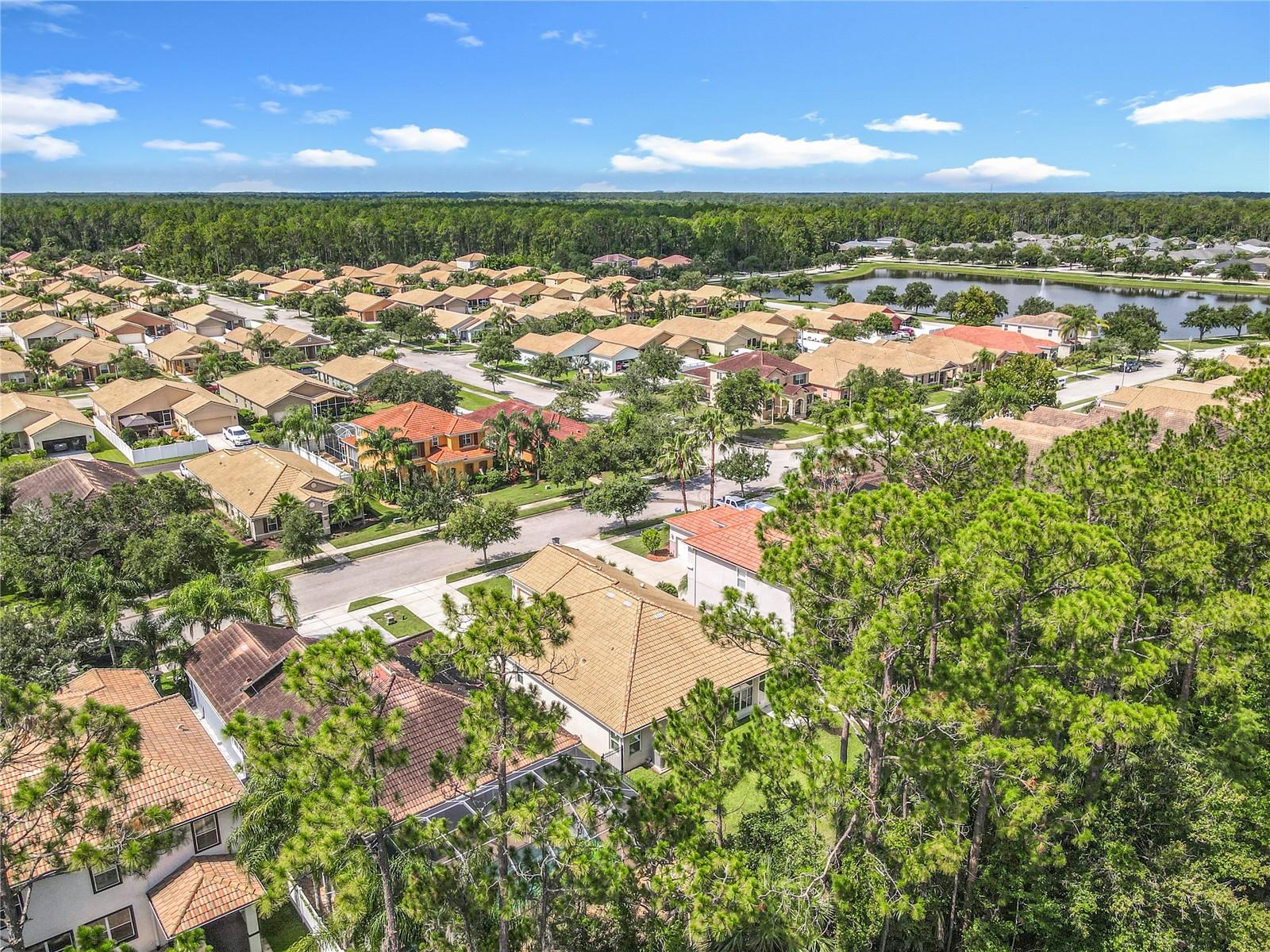 Image 44 of 47 For 3361 Pegaso Avenue