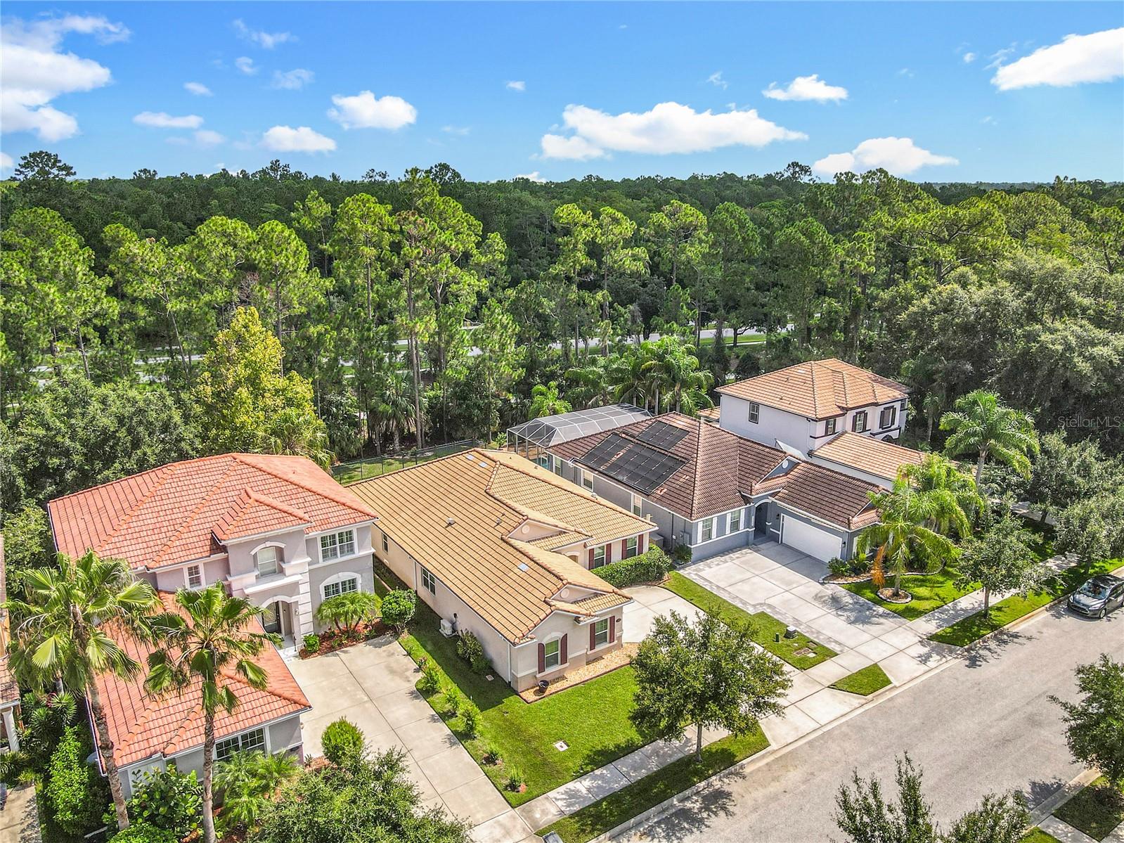 Image 47 of 47 For 3361 Pegaso Avenue