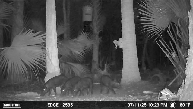 Image 17 of 20 For  Volco Road 