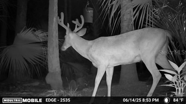 Image 18 of 20 For  Volco Road 
