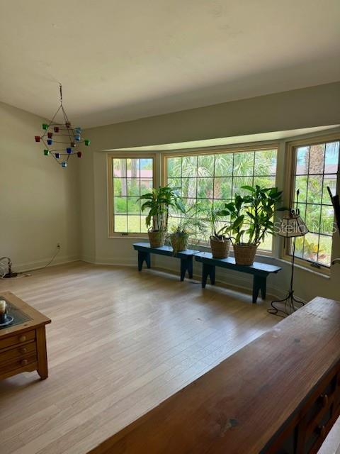 Image 4 of 19 For 156 Live Oak Court
