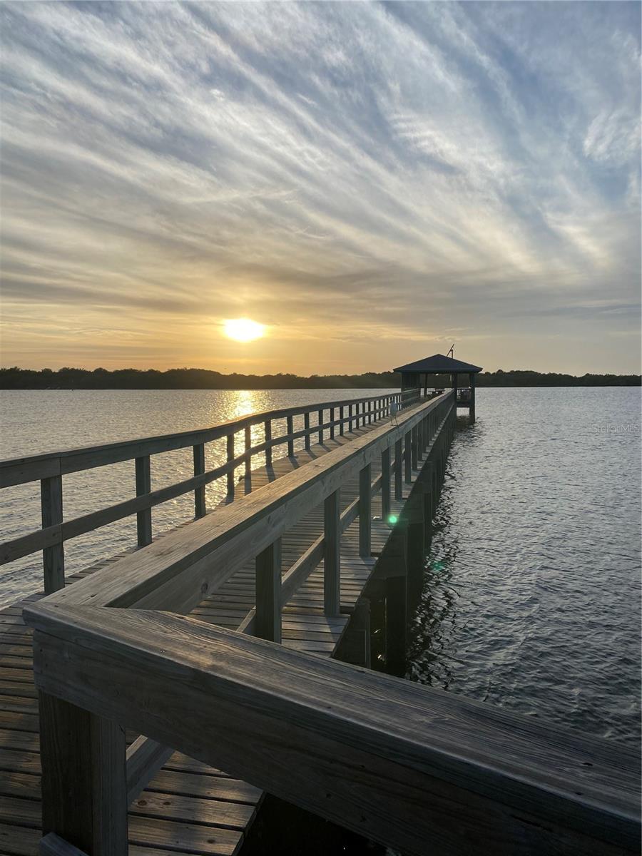 Image 51 of 57 For 4624 Harbour Village Boulevard 4407