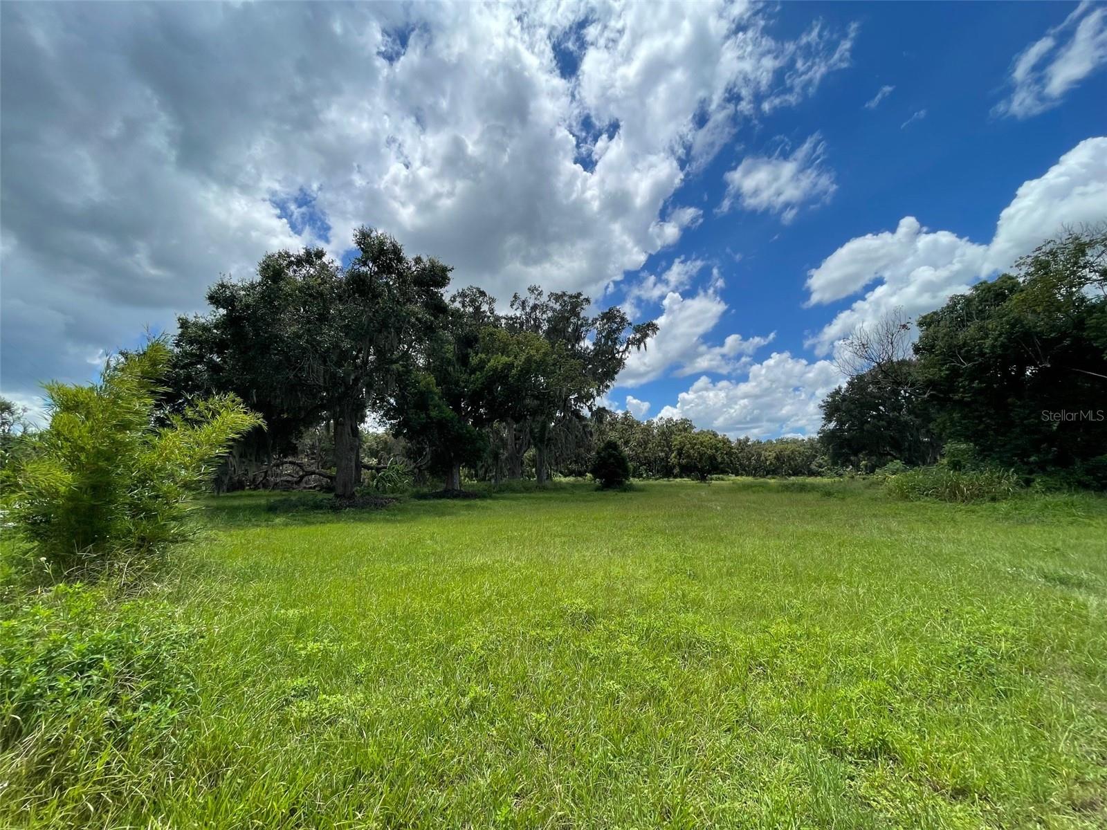 Details for 26831 Bloomfield Avenue, YALAHA, FL 34797
