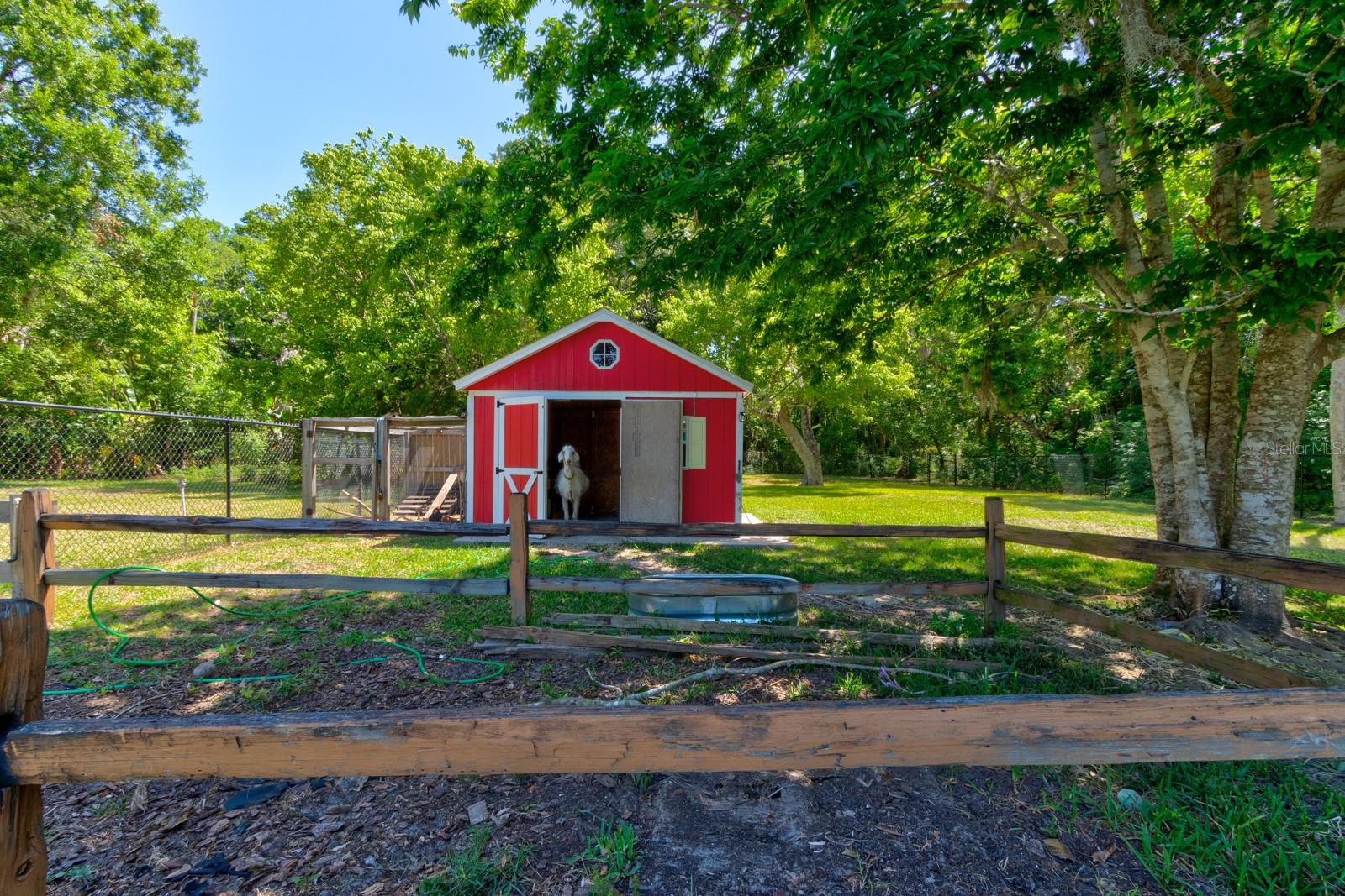 Image 36 of 52 For 357 Seneca Boulevard