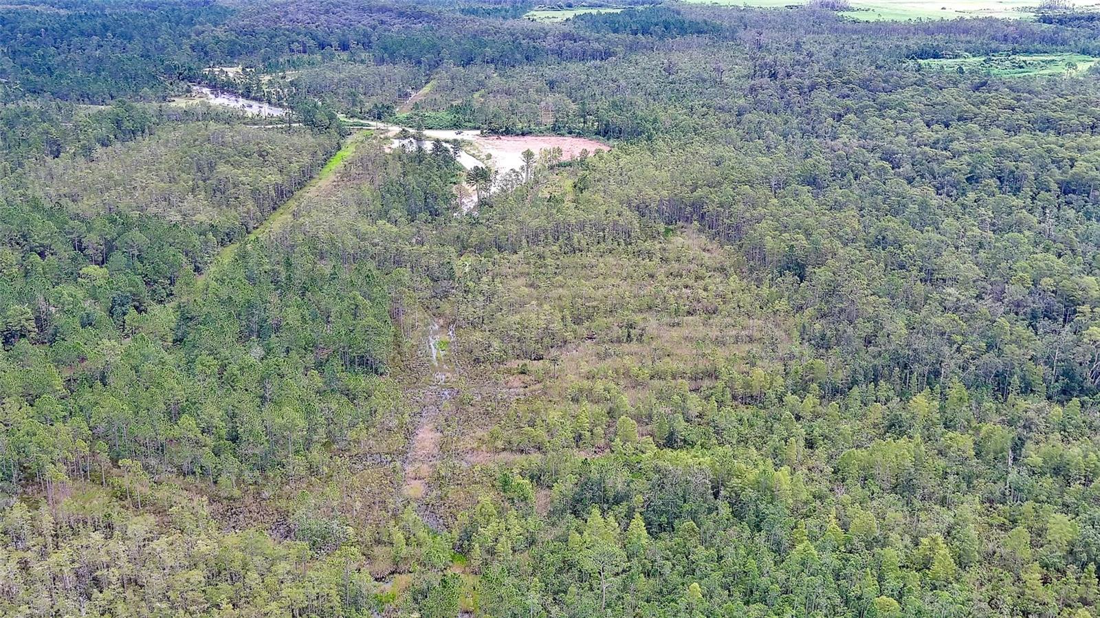 Image 4 of 7 For 4706 Omega Ranch Road